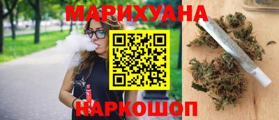 крисы Будённовск