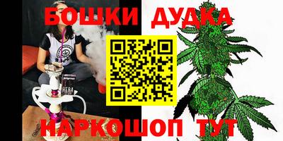 крисы Будённовск