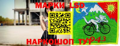 крисы Будённовск
