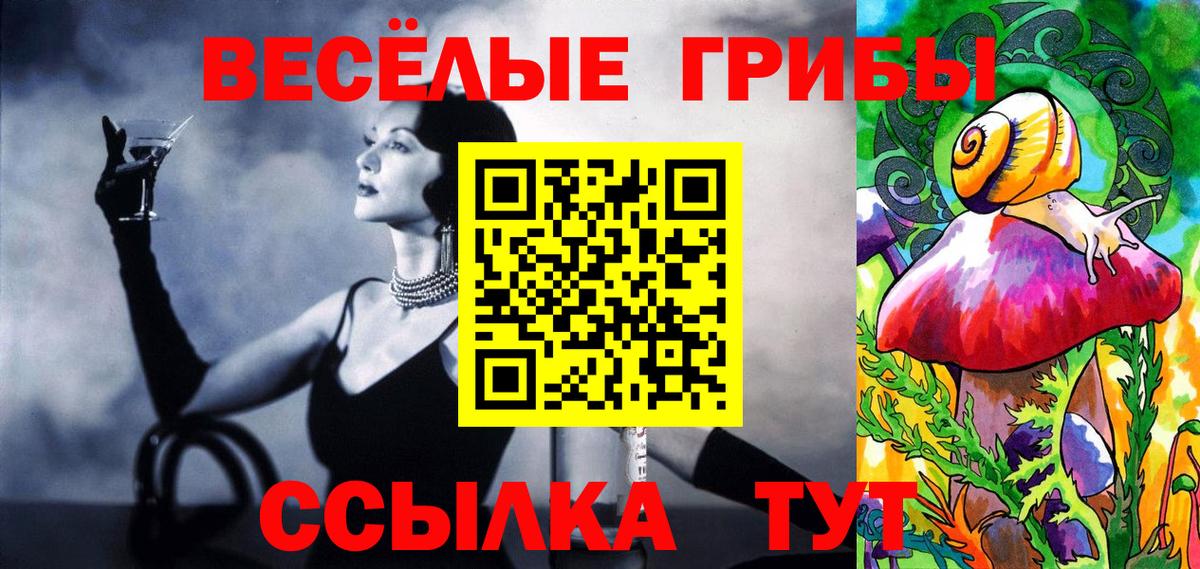 Псилоцибиновые грибы Psilocybine cubensis Протвино